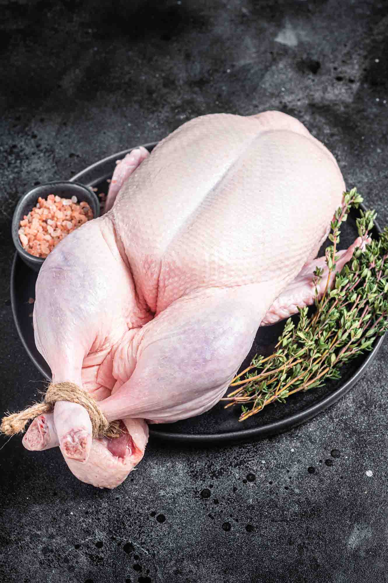 Whole Body Chicken , cnhie