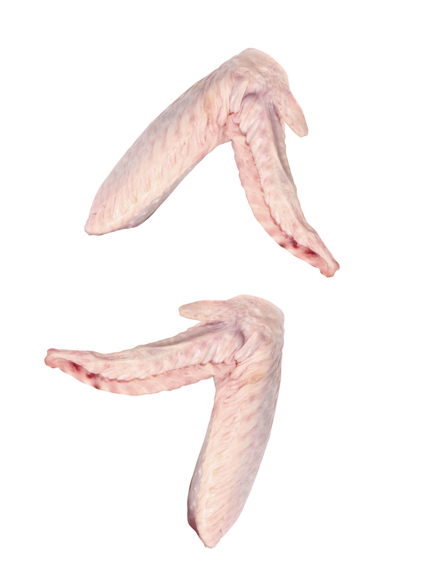 Brazilian Halal, w/ SIF, Two Joint Wing